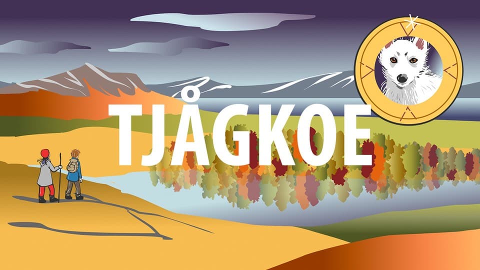Programbild