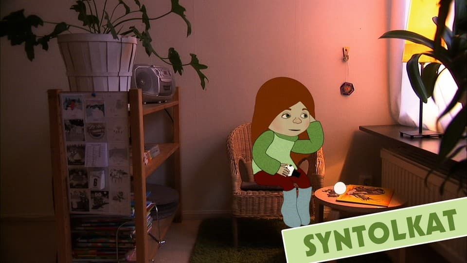 Programbild