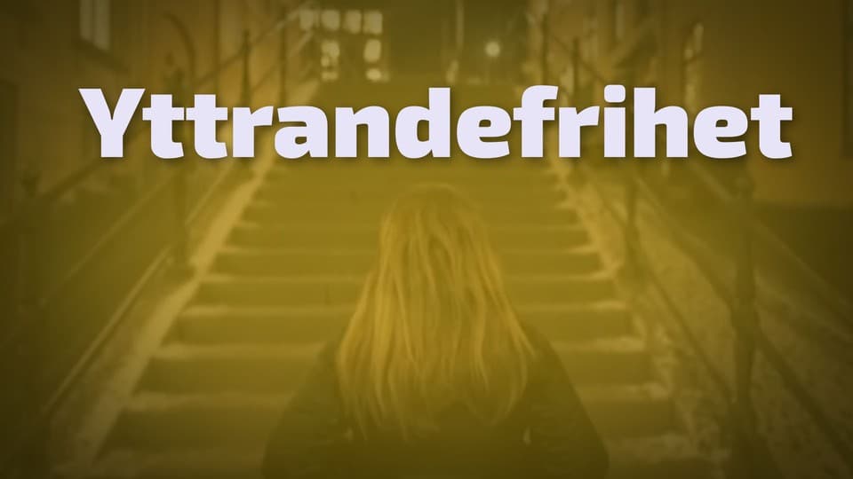 Programbild