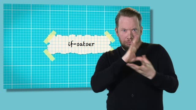 Programbild