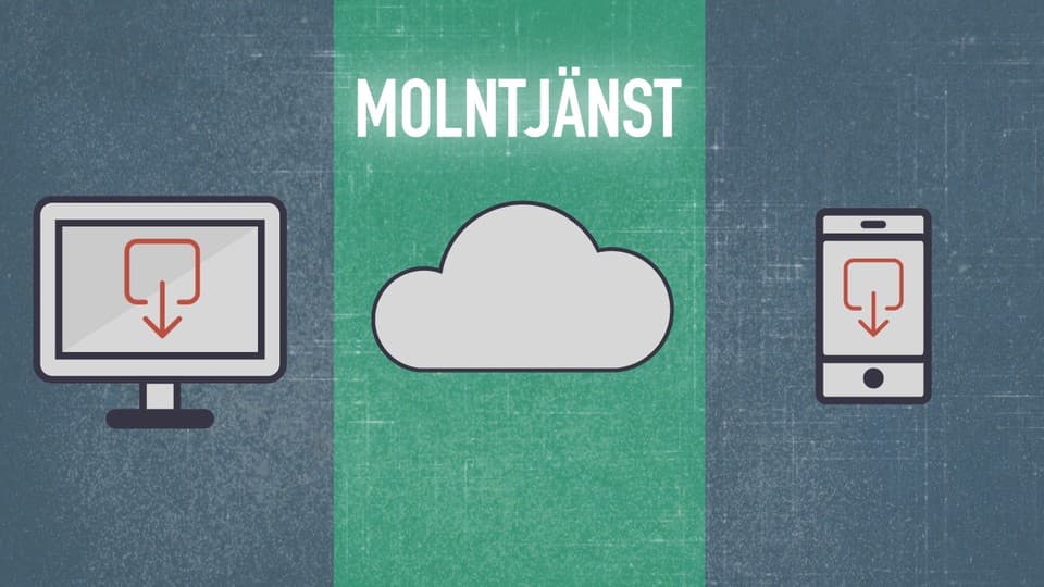 Programbild