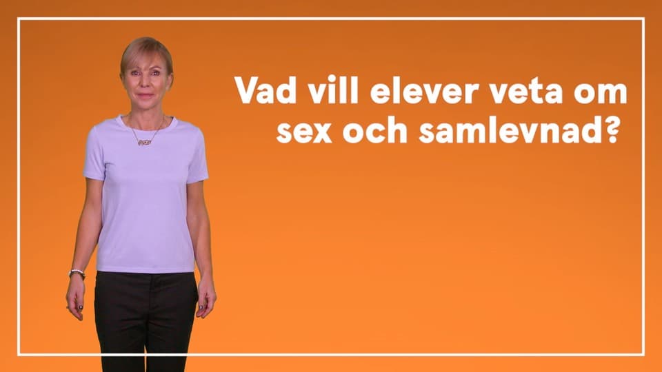 Programbild