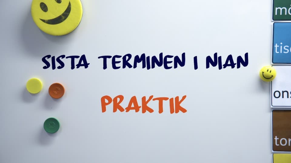 Programbild
