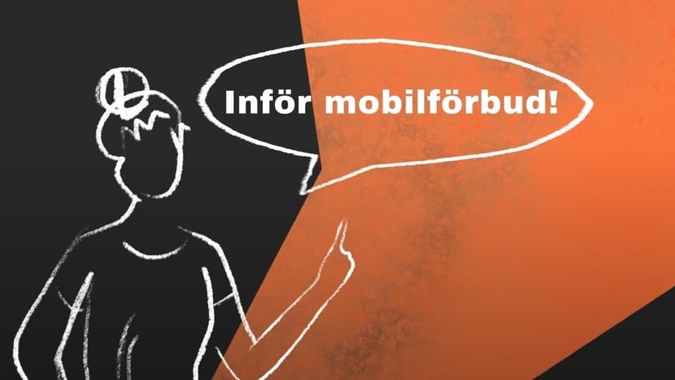 Programbild