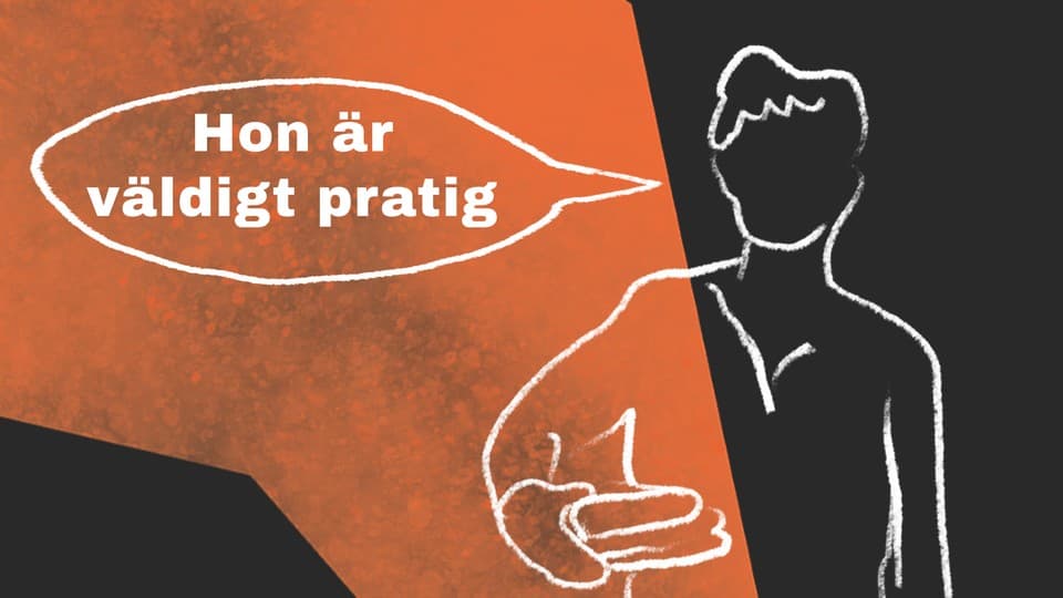 Programbild