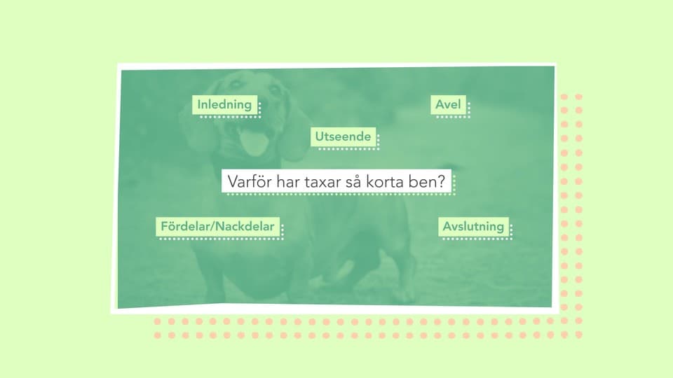 Programbild