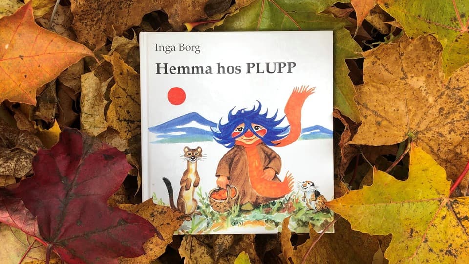Programbild