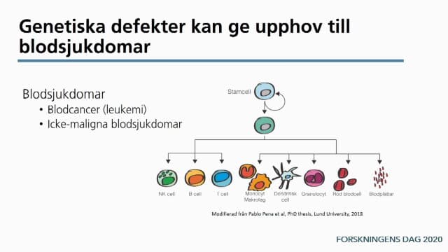Programbild