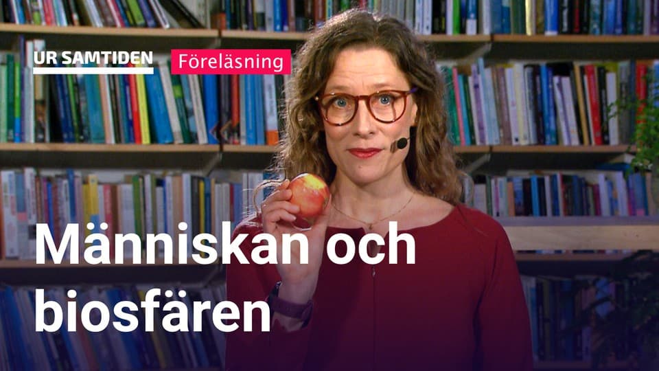 Programbild