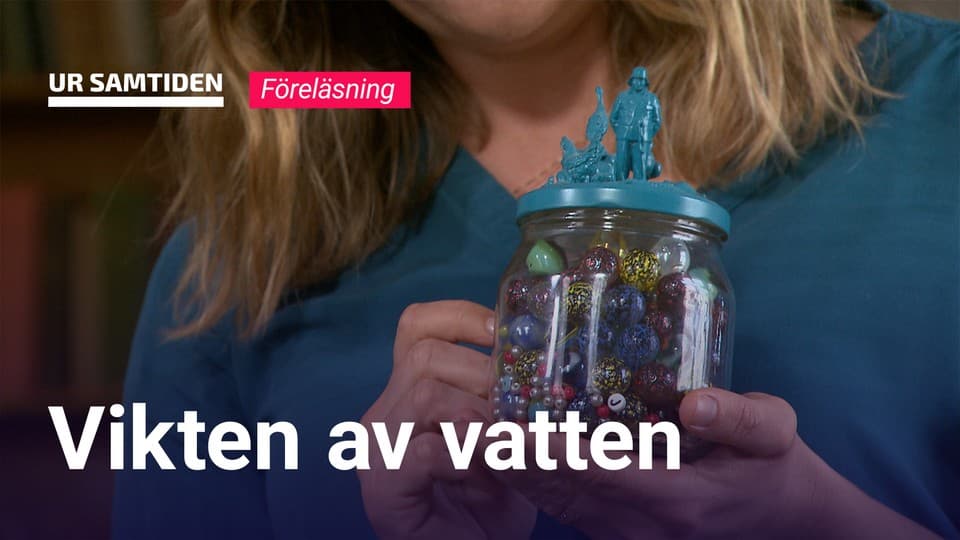 Programbild