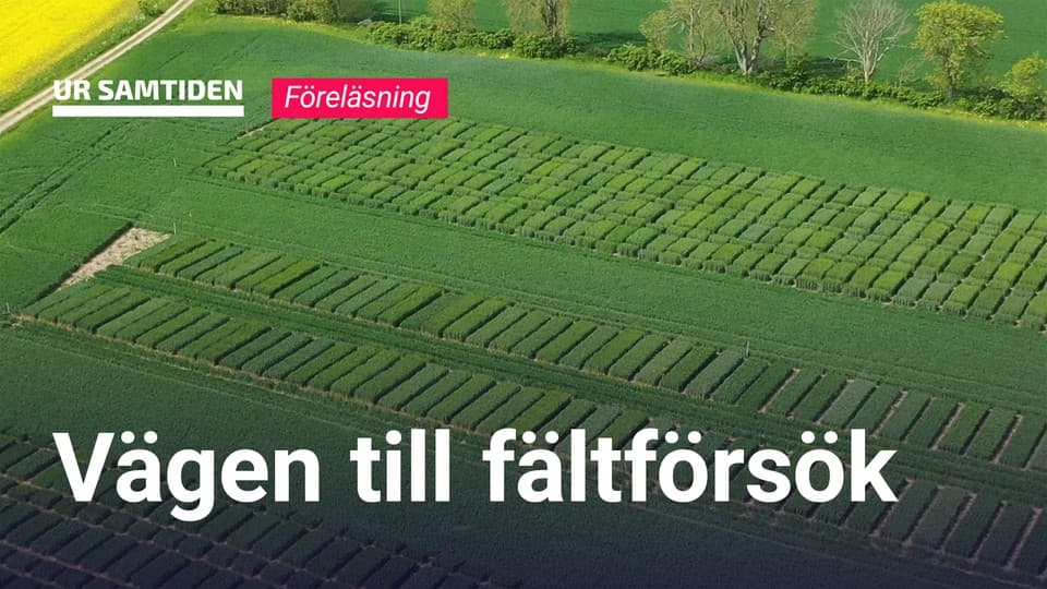 Programbild
