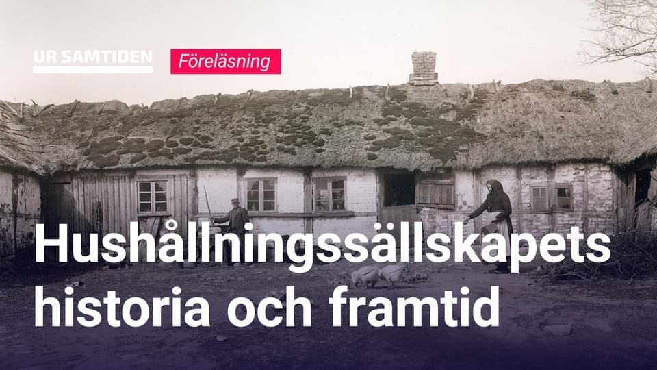 Programbild