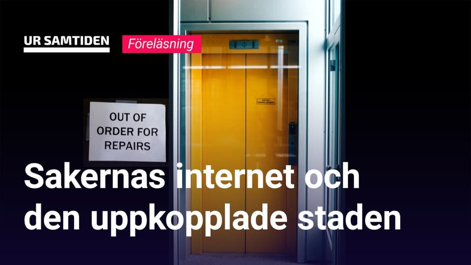 Programbild