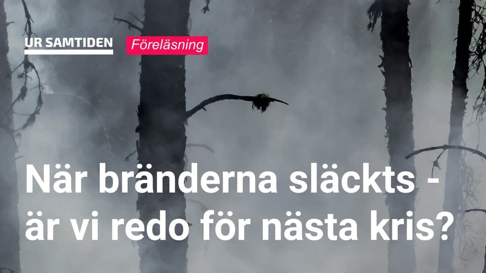 Programbild