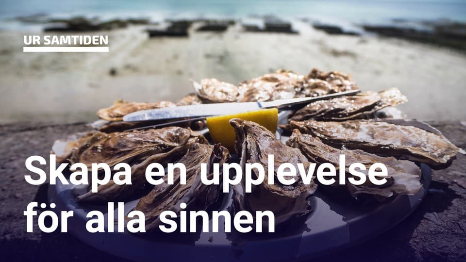 Programbild