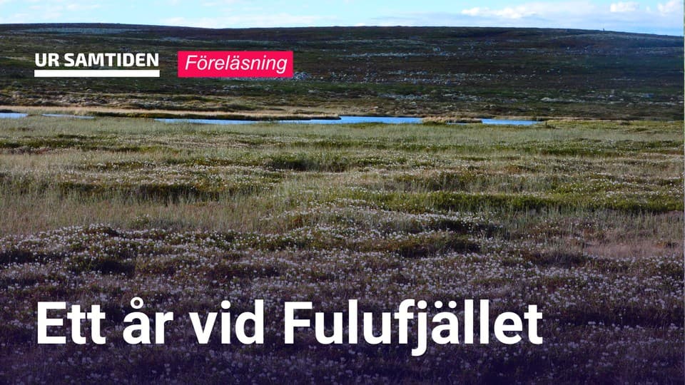 Programbild