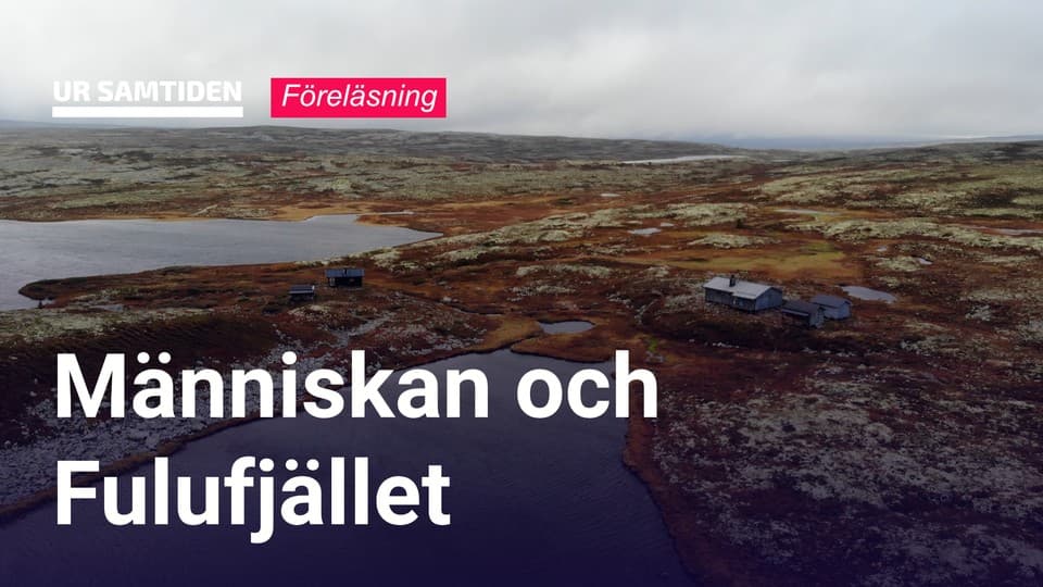 Programbild