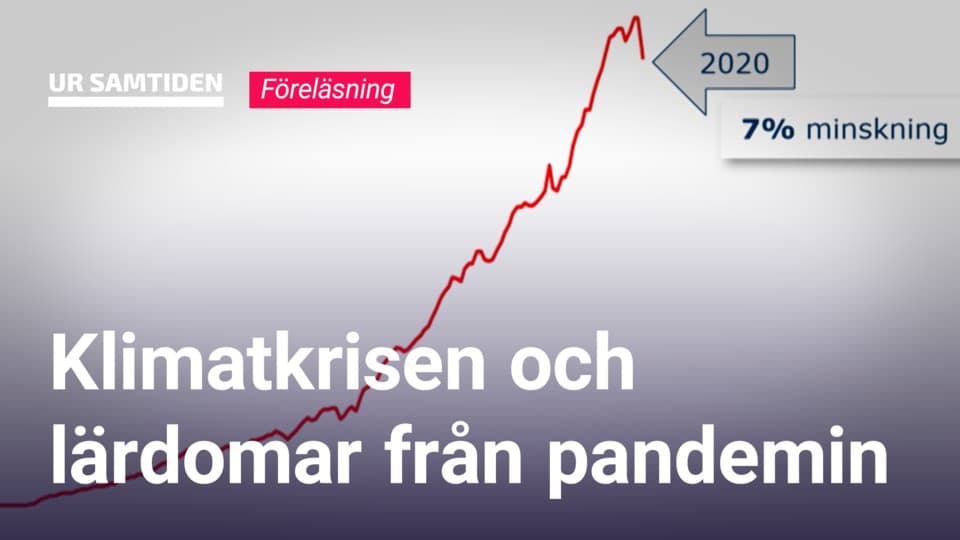 Programbild