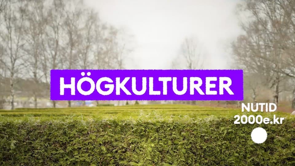 Programbild