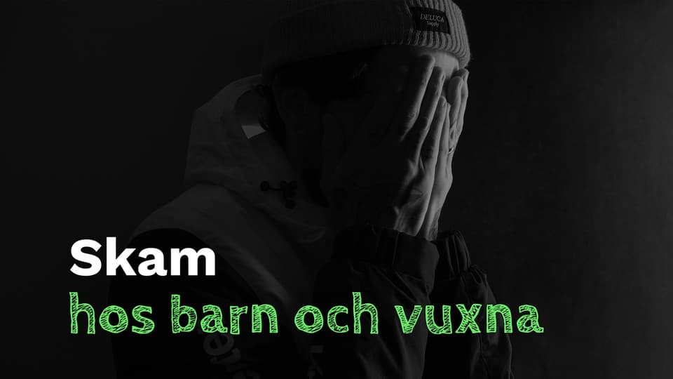 Programbild
