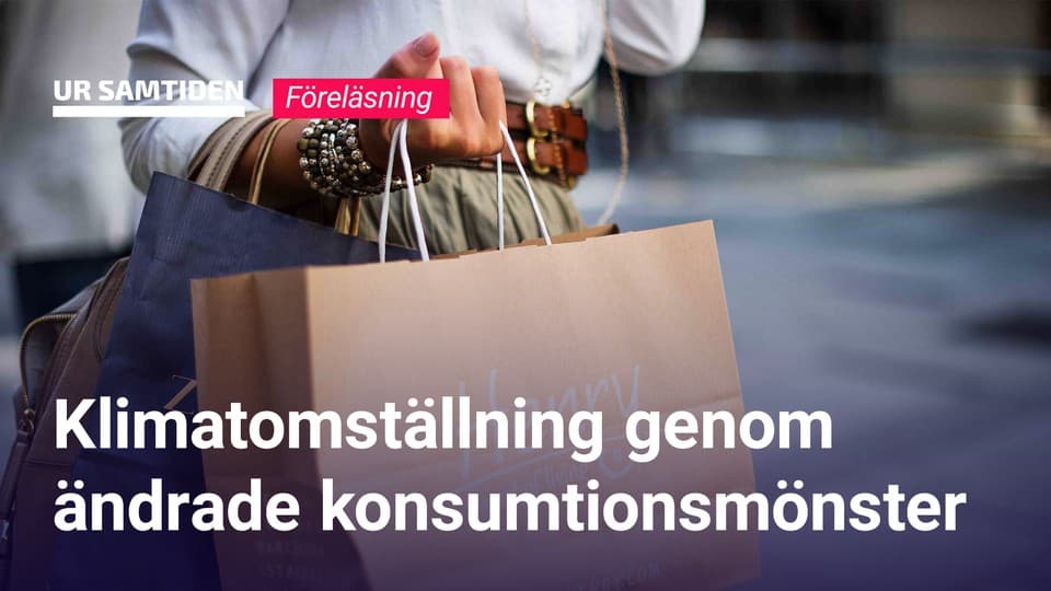 Programbild