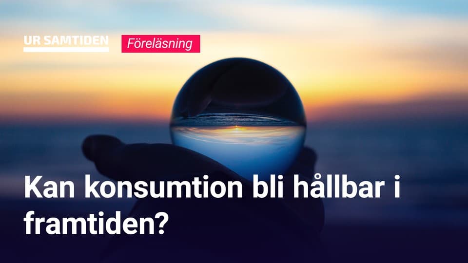 Programbild