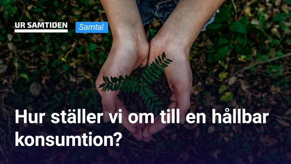Programbild
