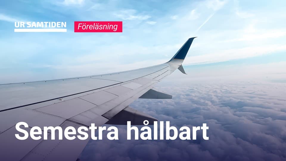 Programbild