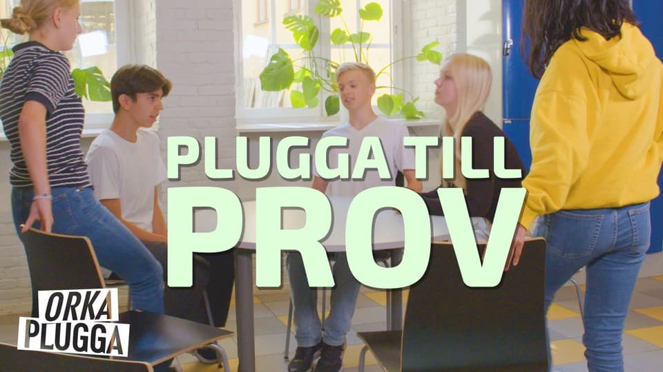 Programbild