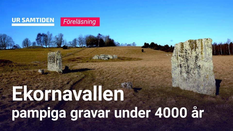 Programbild