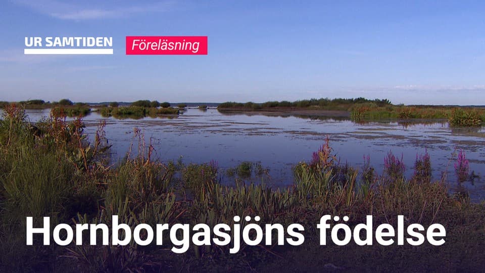 Programbild