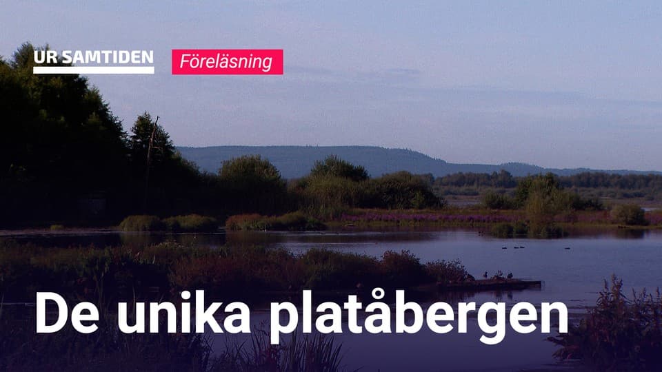 Programbild