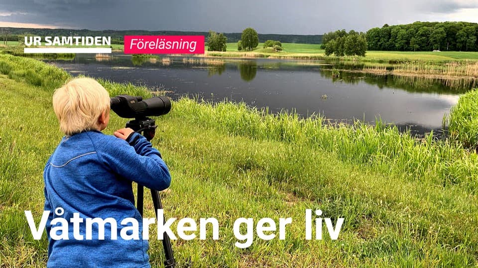 Programbild