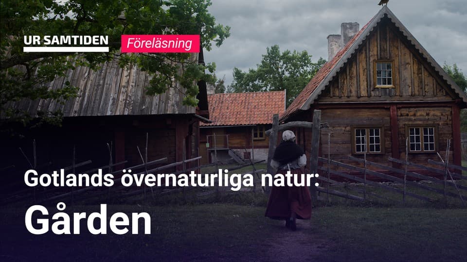 Programbild