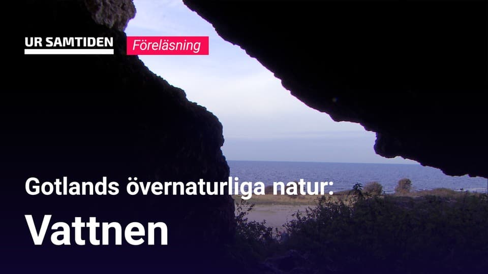 Programbild
