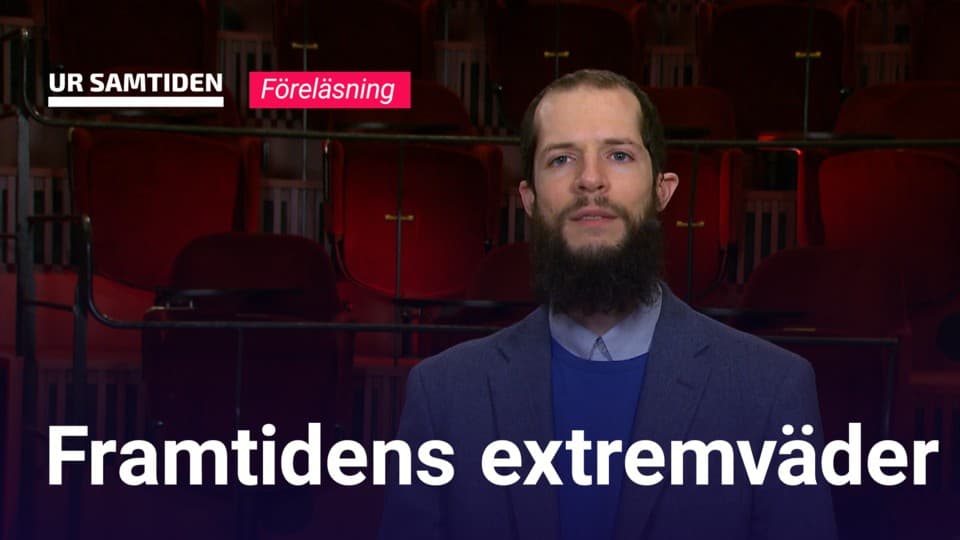 Programbild