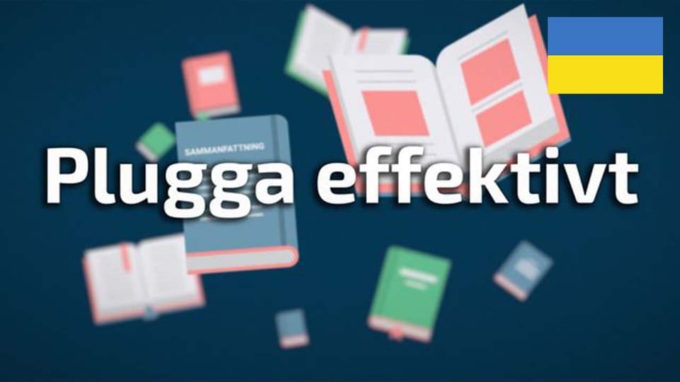 Programbild