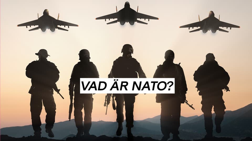 Programbild