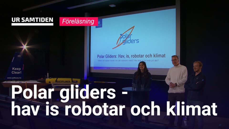 Programbild