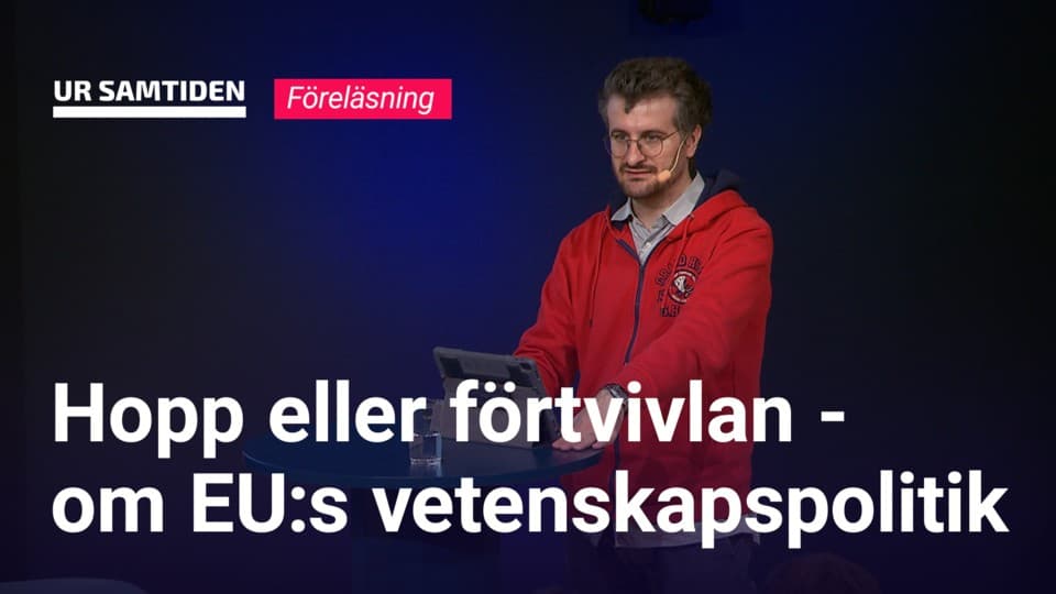 Programbild