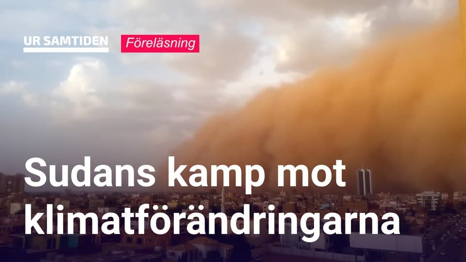 Programbild