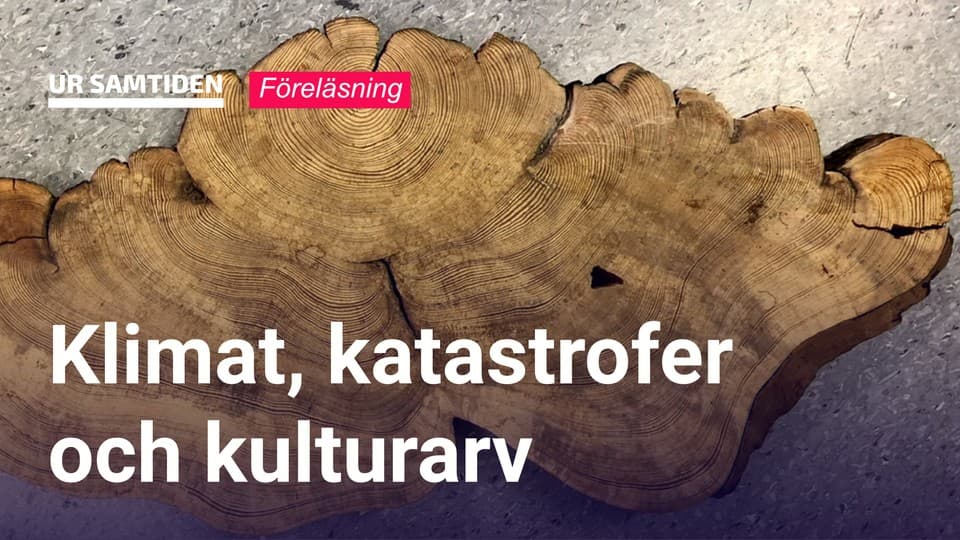 Programbild