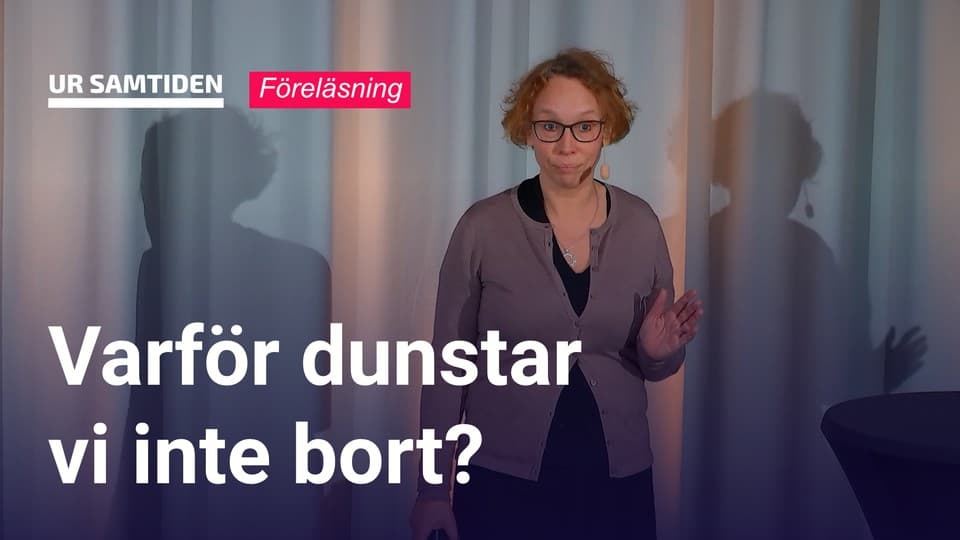 Programbild