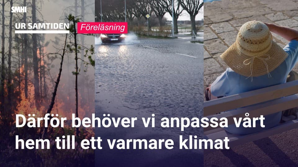 Programbild
