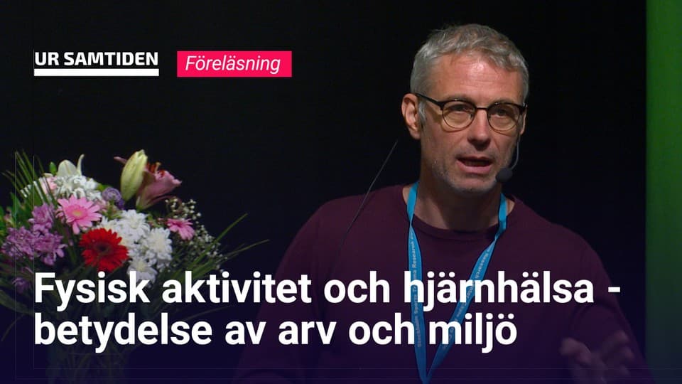 Programbild