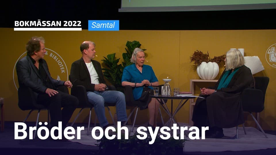 Programbild