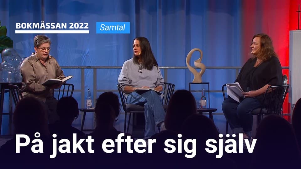 Programbild