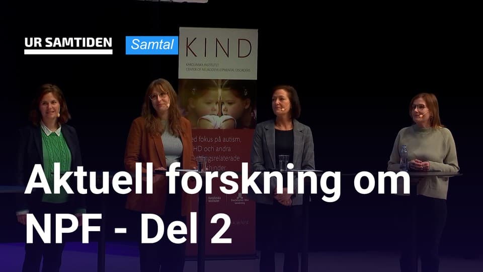 Programbild