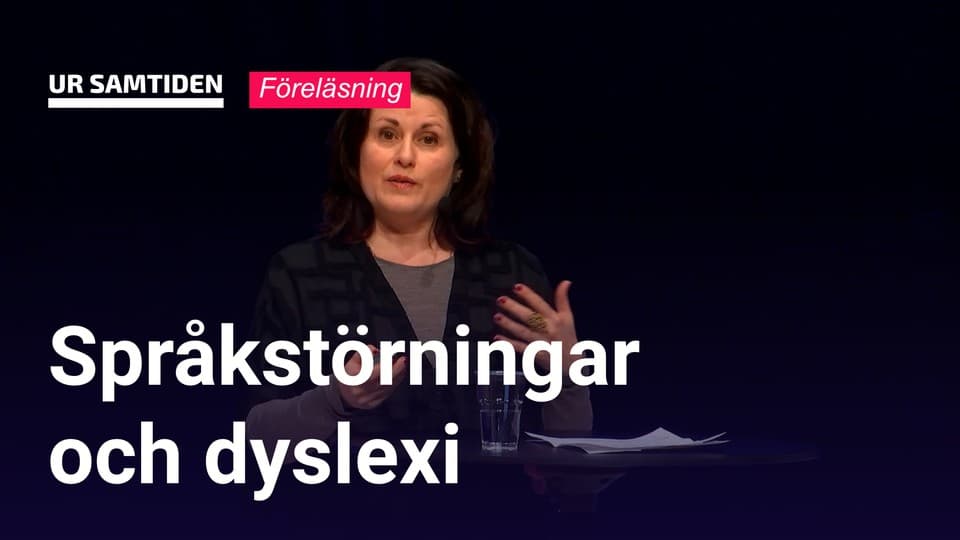 Programbild