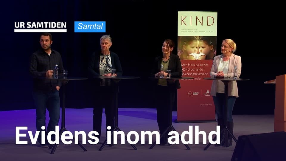 Programbild